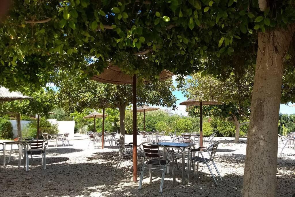 Beachfront Apt! Ac - Pool - Parking Apartment Altea Ngoại thất bức ảnh